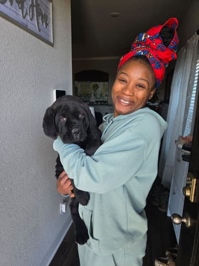 Nathaniel, a Cane Corso Mastiff puppy from Pawrade