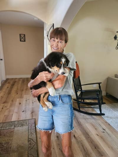 Travis, a Australian Shepherd puppy from Pawrade