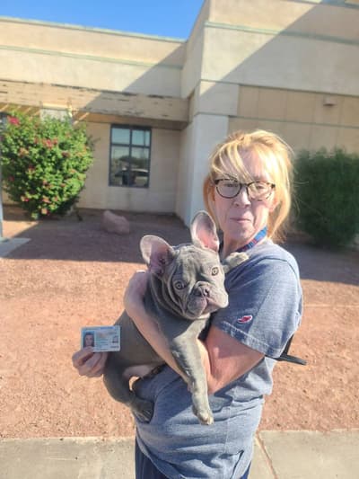 Merida, a French Bulldog puppy from Pawrade