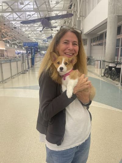 Bessie, a Corgi, Pembroke Welsh puppy from Pawrade