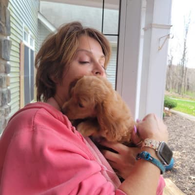 Eliza, a Cockapoo puppy from Pawrade