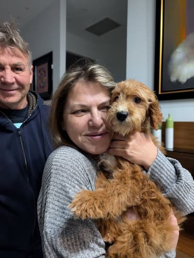 Christian, a Goldendoodle, Mini puppy from Pawrade