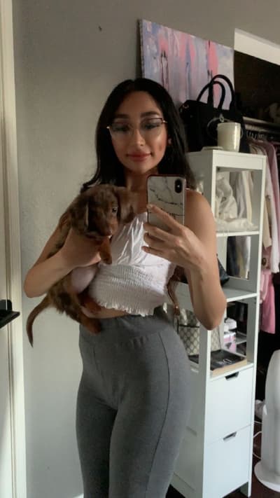 Eline, a Dachshund, Mini puppy from Pawrade
