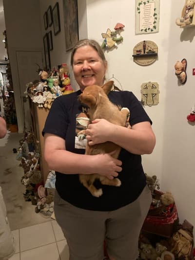 Whitlee, a Corgi, Pembroke Welsh puppy from Pawrade