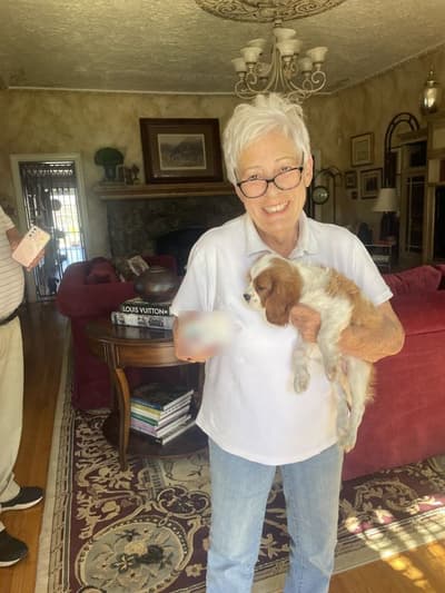Bimini, a Cavalier King Charles Spaniel puppy from Pawrade