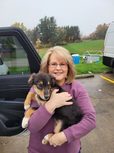 Kyrie, a Miniature Australian Shepherd puppy from Pawrade