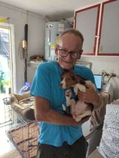 Isabella, a Beagle puppy from Pawrade