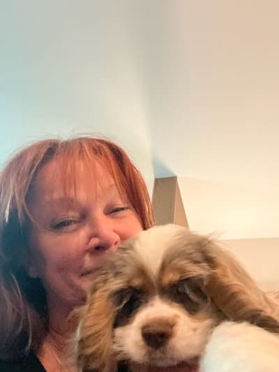 Anabelle, a Cocker Spaniel puppy from Pawrade