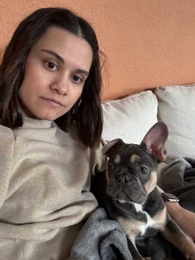 Kai, a French Bulldog puppy from Pawrade