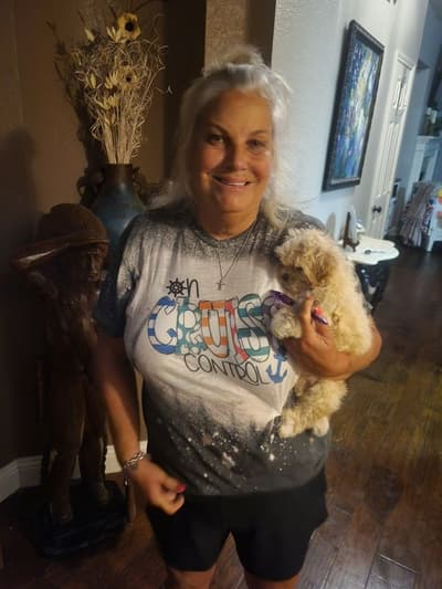 Juls, a Shichon puppy from Pawrade