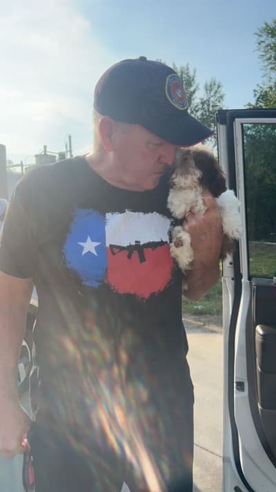 Primrose, a Shih Tzu puppy from Pawrade