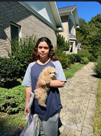 Cara, a Poodle, Toy puppy from Pawrade