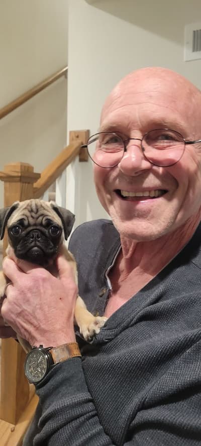 Oscar, a Pug puppy from Pawrade
