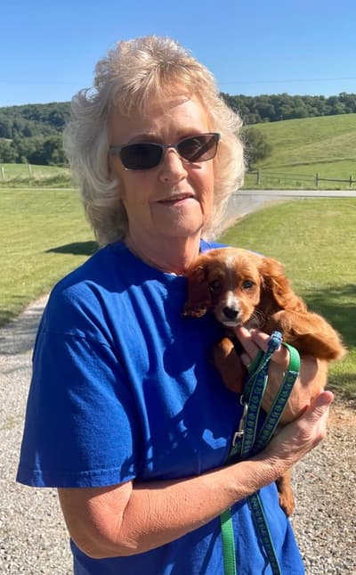 Dudley, a Cavapoo puppy from Pawrade
