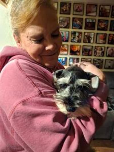 Mateo, a Schnauzer, Miniature puppy from Pawrade