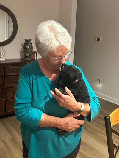 Button, a Scottish Terrier puppy from Pawrade