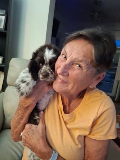 Champ, a Cocker Spaniel puppy from Pawrade