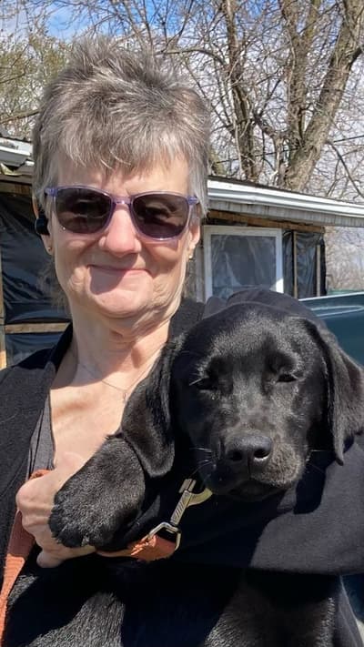 Nettie, a Labrador Retriever puppy from Pawrade