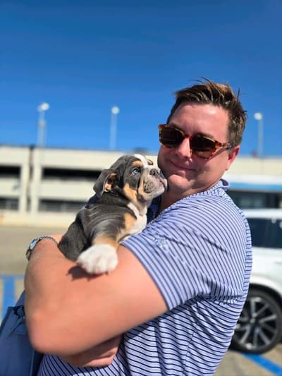 Edison, a English Bulldog puppy from Pawrade