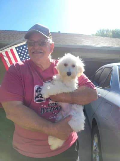 Pablo, a Havanese puppy from Pawrade
