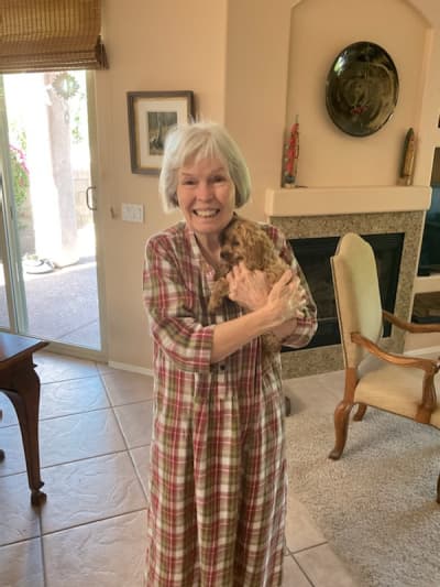 Dulce, a Cockapoo puppy from Pawrade