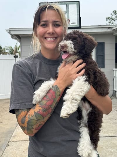 Betsy, a Portuguese Water Dog puppy from Pawrade