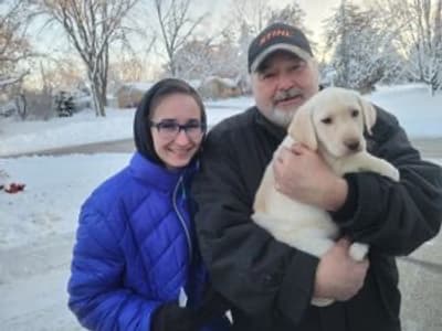 Sherri, a Labrador Retriever puppy from Pawrade