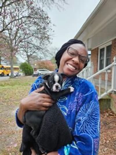 Jules, a Boston Terrier puppy from Pawrade