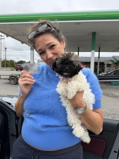 Mouse, a Havanese puppy from Pawrade