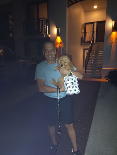 Adler, a Golden Retriever puppy from Pawrade