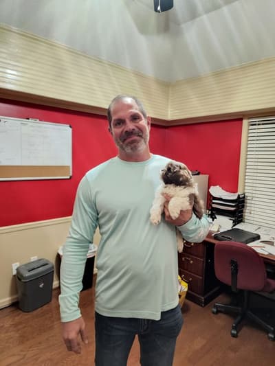 Marv, a Shih-Poo - Shihpoo puppy from Pawrade