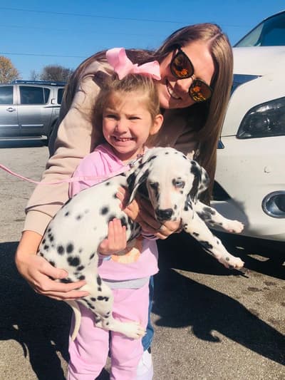 Giselle, a Dalmatian puppy from Pawrade