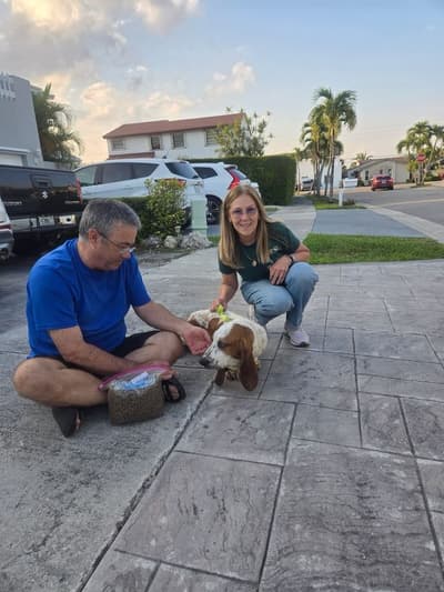 Lincoln, a Basset Hound puppy from Pawrade