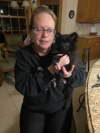 Vision, a Pomeranian puppy from Pawrade