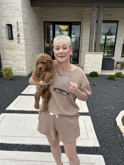 Joseph, a Goldendoodle, Mini puppy from Pawrade