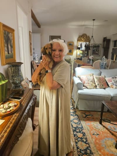 Leslie, a Dachshund, Mini puppy from Pawrade