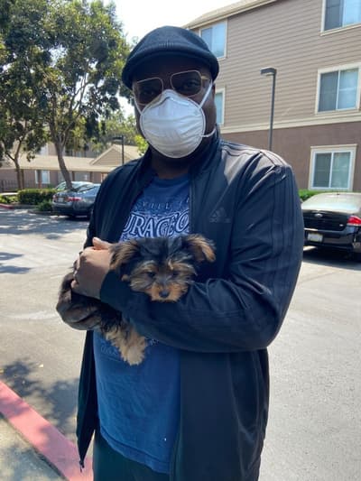 Gucci, a Yorkiepoo - Yorkie Poo puppy from Pawrade