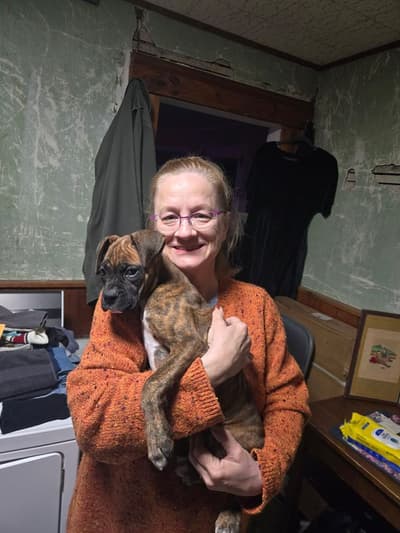 Leanne, a Boxer puppy from Pawrade