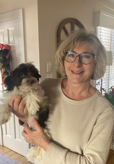 Heather, a Havanese puppy from Pawrade