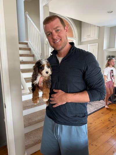 Archie, a Bernedoodle, Mini puppy from Pawrade