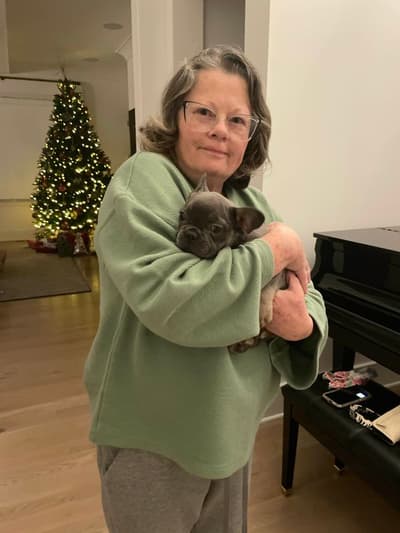 Delia, a French Bulldog puppy from Pawrade