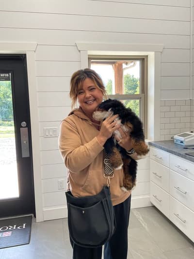 August, a Bernedoodle, Mini puppy from Pawrade