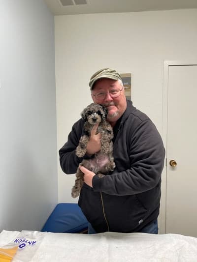 Hudson, a Goldendoodle, Mini puppy from Pawrade