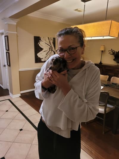 Sassy, a Dachshund, Mini puppy from Pawrade