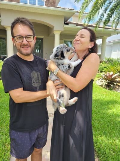 Tamara, a Miniature Australian Shepherd puppy from Pawrade