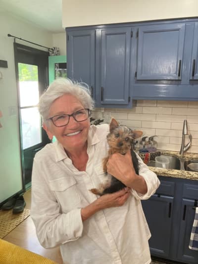 Delaney, a Yorkshire Terrier - Yorkie puppy from Pawrade