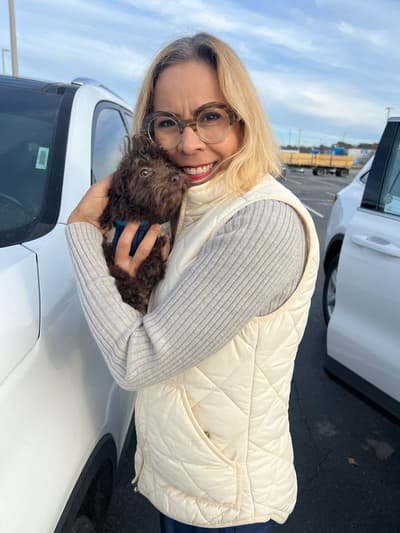 Santiago, a Poodle, Toy puppy from Pawrade