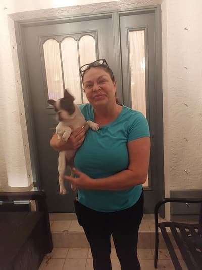 Gwen, a French Bulldog puppy from Pawrade