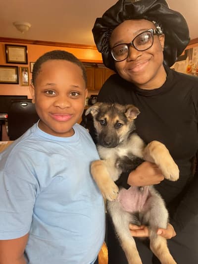 Kelly, a German Shepherd puppy from Pawrade