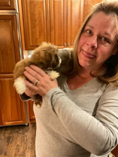 Hershey, a Shih Tzu puppy from Pawrade